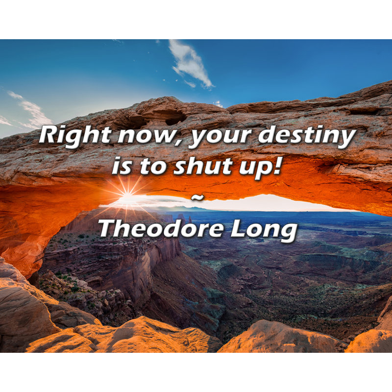 Theodore Long Quote: Right now, your destiny is to shut up!