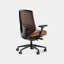 Ergonomic Chair Pro-1299345841-1299345847