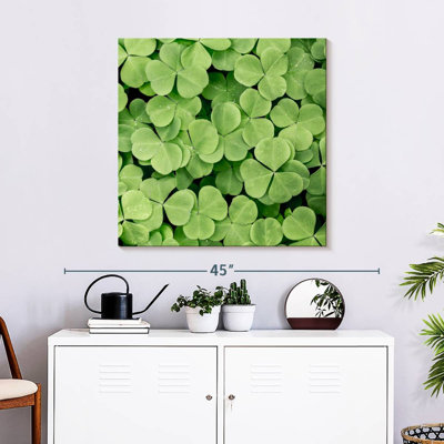 Harnek Patch Of Shamrock