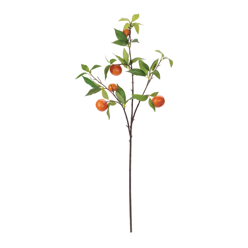 Branche de feuillage d'orange
