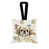 Pekingese Fawn sélectionné