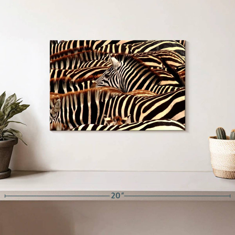 Brampt Serengeti Zebra Stripes, 8" H x 12" W