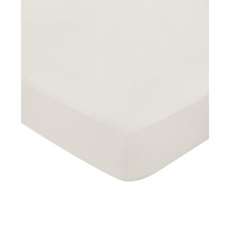 BOB 600TC EQYPTIAN COTTON Egyptian Cotton Plain Weave / Muslin Fitted Sheet, Single (3'), Cream