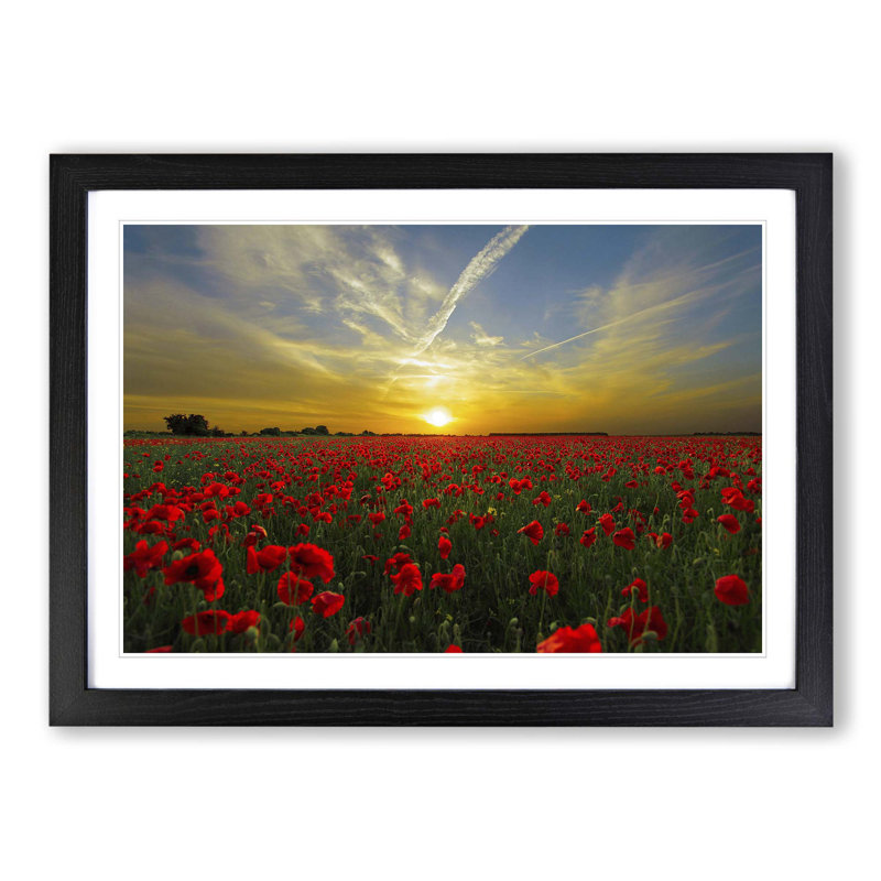 Single Picture Frame Print, Black