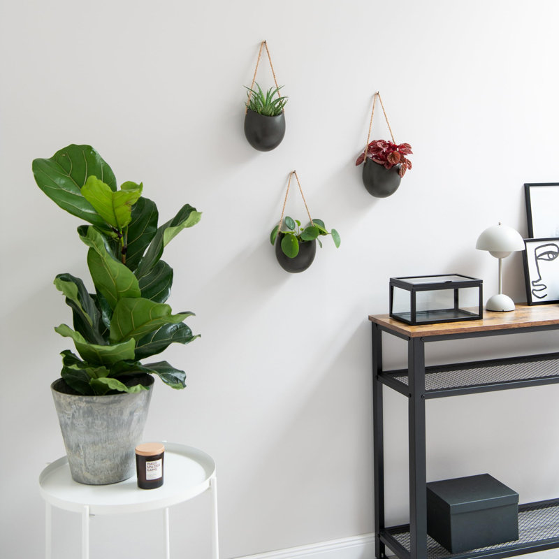Hanging Ceramic Plant Pots 3 Pieces, Graphite