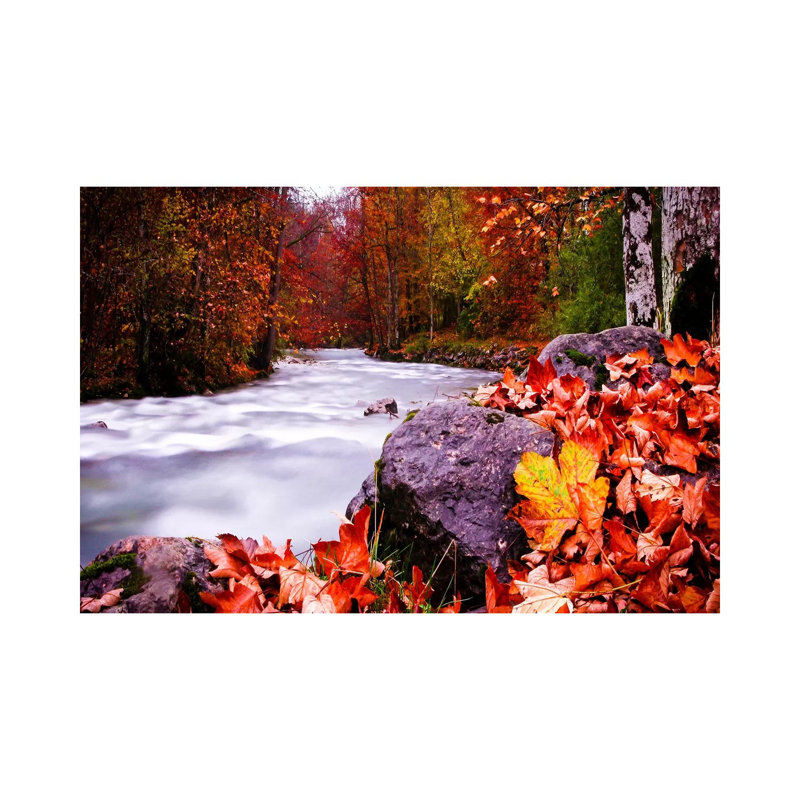 Autumn Flow by Dan Ballard - Wrapped Canvas Print, 66.04 cm H x 45.72 cm W x 3.175 cm D