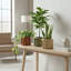 Round Strata Planter MD - Dark Brown-601607776-601607783
