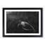 Sea Turtle - Picture Frame Painting Print-56705584-56705587