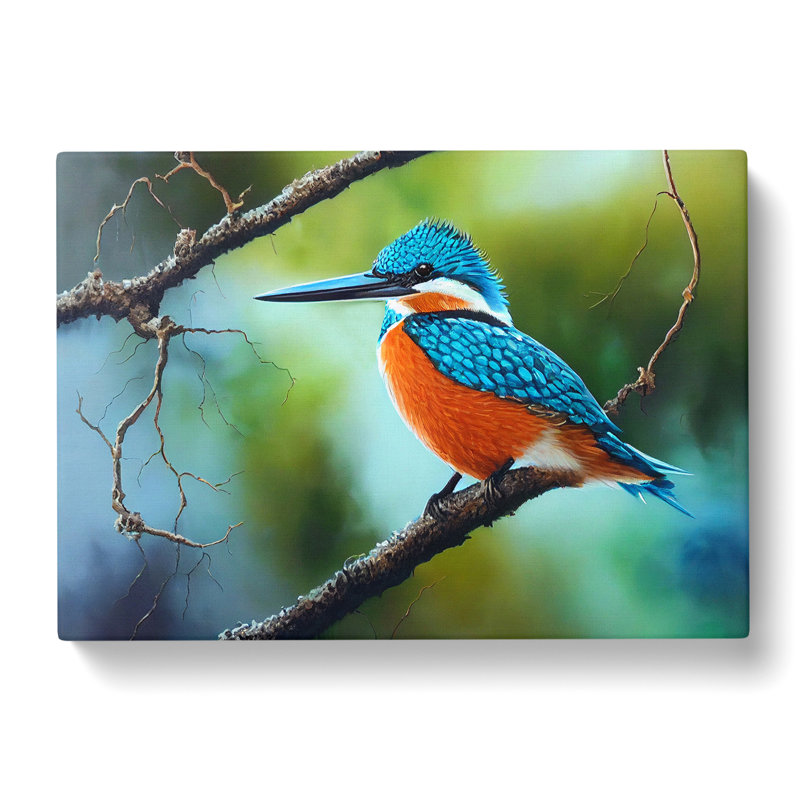 An Effervescent Kingfisher Bird - Wrapped Canvas, 50cm H x 76cm W x 3cm D