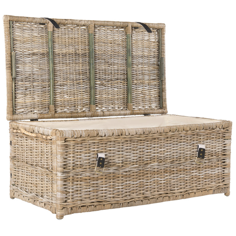 Coffre de rangement en osier 46 po Caden, Naturel