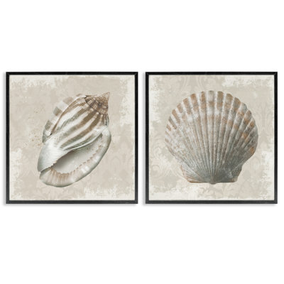 «Seashells over Subtle Damask», ensemble de 2 giclées encadrées par Conrad Knutsen