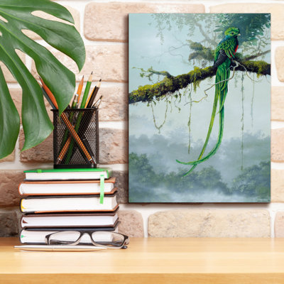 Epic Graffiti 'Resplendent Quetzal' By Harro Maass " Resplendent Quetzal " by Harro Maass