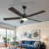 Laquaysha 60'' Ceiling Fan with LED Lights