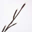 Artifical 2D 60'' Lighted Trees & Branches