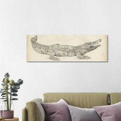 Crocodile Sketch by Ethan Harper - Wrapped Canvas Panoramic Print