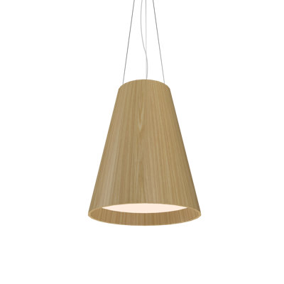 3 - Light Unique/Statement Pendant