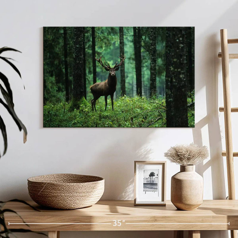 Brampt Elk In Forest, 16'' H x 24'' W