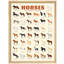 Affiche mondiale de Global Horse Breeds - Guide illustré des variétés de chevaux dans le monde-101376481-101376479