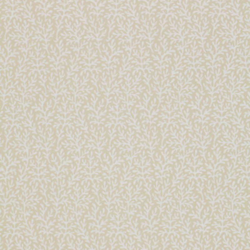 Sea Coral Wallpaper, Bone
