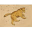 Ursa Major Print by Grand Archives-1636343211-1636343205