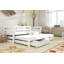 Cardoon Standard with Storage Included with Trundle Included-15583802