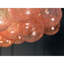 Lustre Broadway Starburst Murano-91471763-91471764-91471765