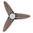 Viara 52'' Ceiling Fan with LED Lights-1353757173