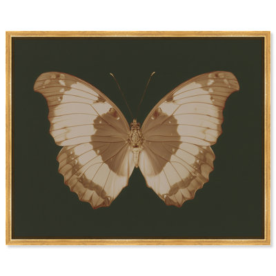 "Mossy Spechantillon I", reproduction d'art sur toile encadrée par Art Remedy, cadre doré, 36 x 30