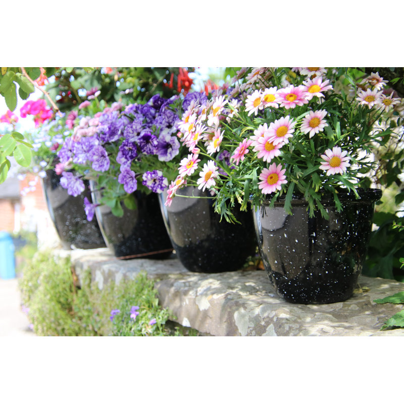Sundhya Pot Planter, Black Gloss, 10.5 x 13 x 13