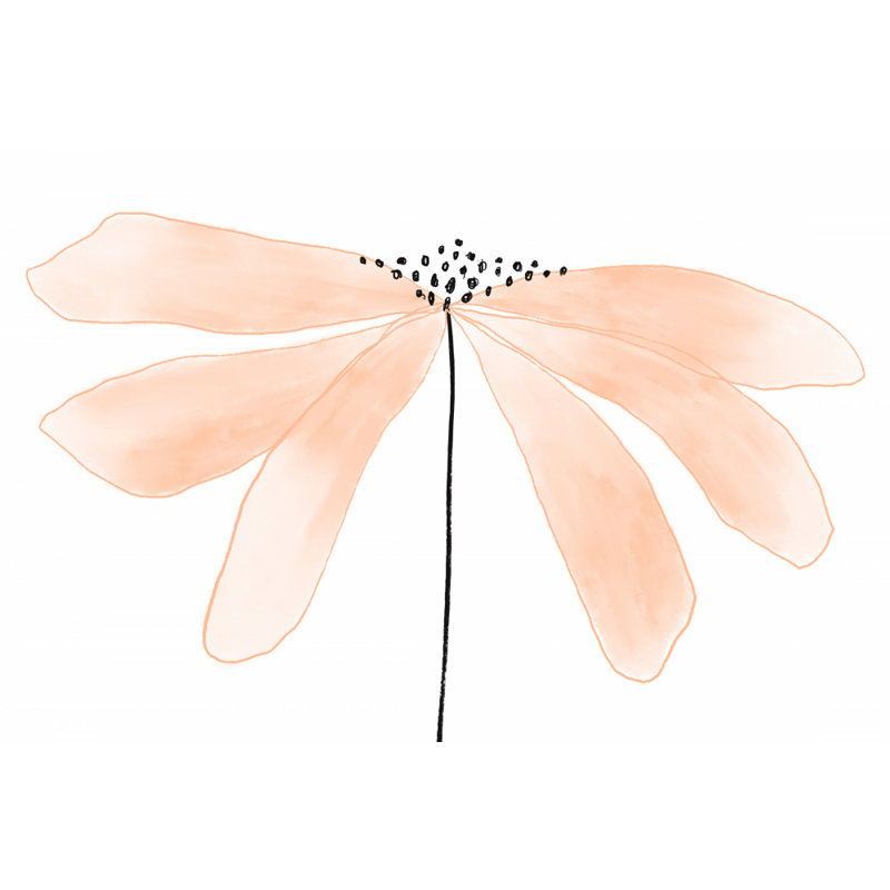 Wrapped Canvas Print, 60.96 cm H x 91.44 cm W