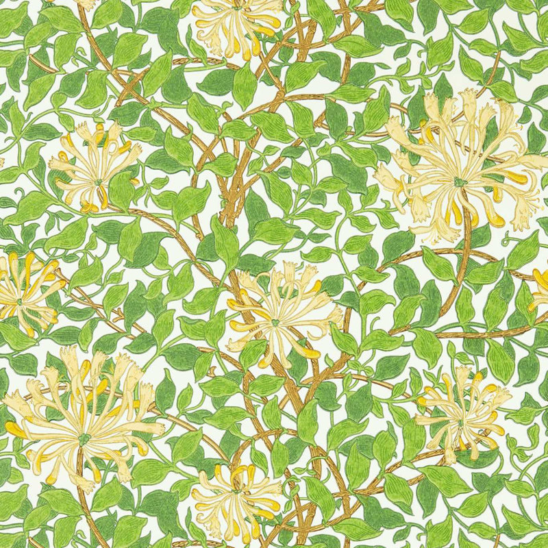Honeysuckle Wallpaper, Cream/Chocolate