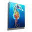 «Seahorse - Rainbow» par Dawg Painter-538992418