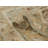 Ashwin Area Rug-317781849