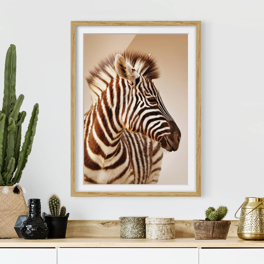 Wandbild Babyzebra