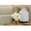 BLOOMS Cream Peonies in Glass Vase
