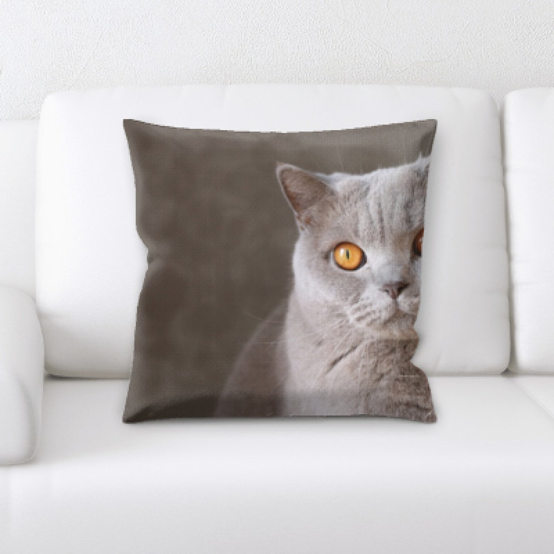 Microsuede Reversible Throw Pillow