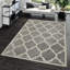 Tapis gris / crème Leenhouts-1876728539