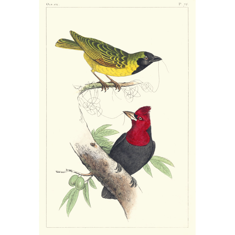 Lemaire Birds II, H 18 po x l 12 po x P 1,25 po