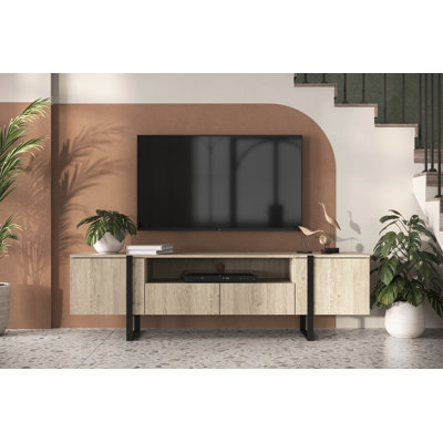 Alexzandyr Unfinished TV Stand for TVs up to 55"