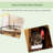 Enclosed Litter Box Enclosure