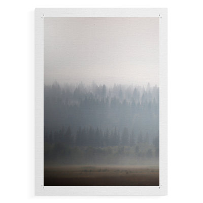 Morning Glow II -Canvas Print Only - NOT FRAMED