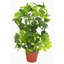 65cm Faux Plant in Pot Liner
