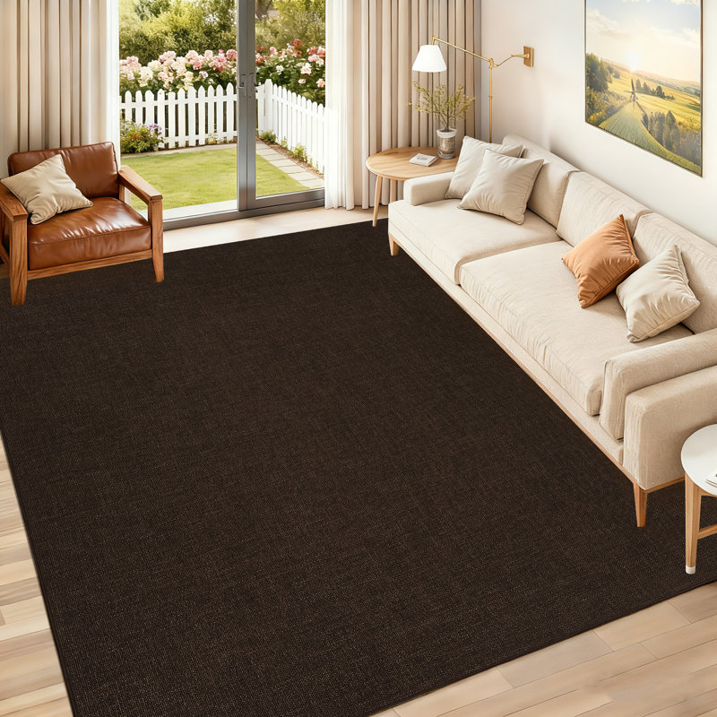 Area Rug Modern Solid Color Area Rug Washable Rug for Living Room Bedroom Dining, Rectangle 6' x 9', Brown
