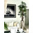 Lady Faux Palm Tree-98582423-98582424