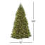 Sapin Dunhill avec lumières claires-727777758