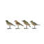 Oiseau en résine Sharptown