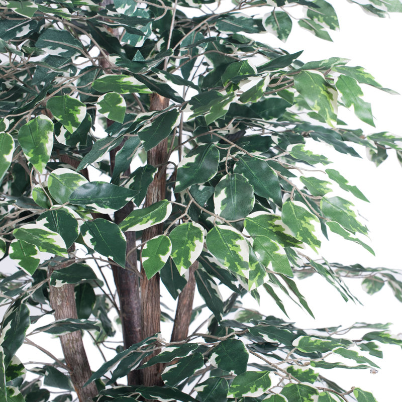 Ficus panaché artificiel en pot
