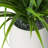 11'' Faux Foliage Grass in Ceramic Pot