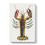 Lobster by J.E. De Kay - Wrapped Canvas Painting-55365164