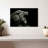 Roaring Lion Head-107504654